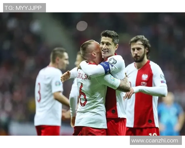 塞尔维亚与威尔士精彩对决全场录像回放及精彩瞬间分析 塞尔维亚与威尔士精彩对决全场录像回放及精彩瞬间分析