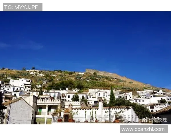 探索摩尔特里的神秘魅力与独特风情,感受不一样的旅行体验与文化碰撞 探索摩尔特里的神秘魅力与独特风情,感受不一样的旅行体验与文化碰撞