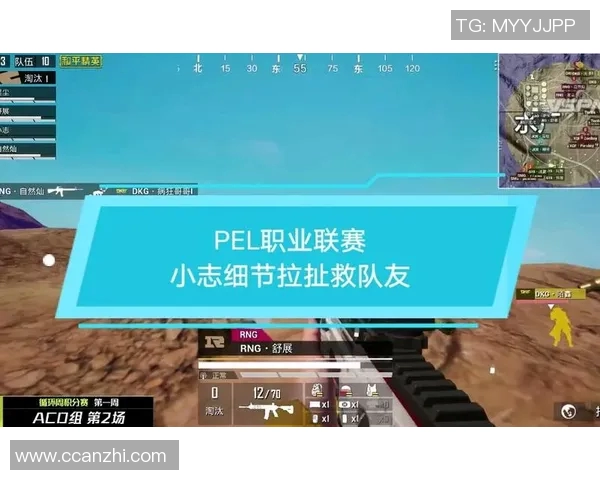 和平精英专题深入解析RNG战队的快速崛起与战术创新之路MBA