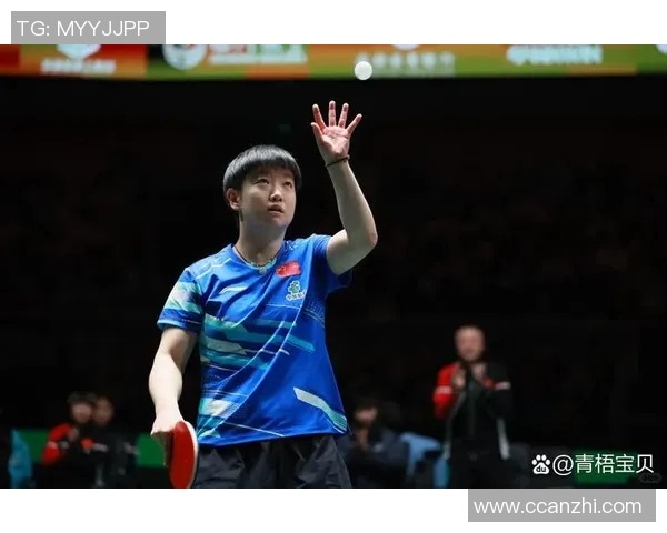 成都乒乓球队的节奏与发展探索聚焦乒乓球运动的未来与挑战MBA