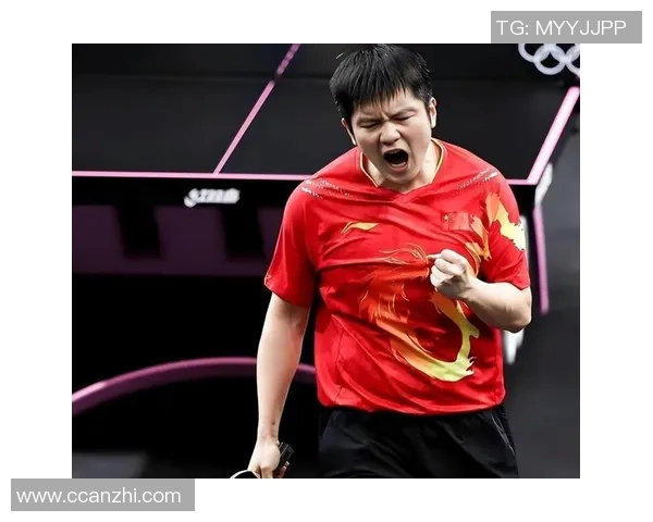 樊振东与波尔精彩对决集锦回顾乒乓球巅峰对决的精彩瞬间 樊振东与波尔精彩对决集锦回顾乒乓球巅峰对决的精彩瞬间