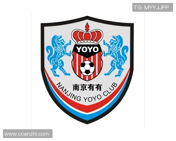 南京足球队的运营策略深度分析与发展前景展望
